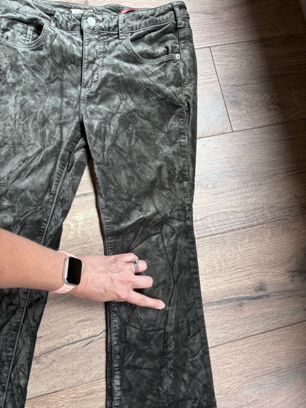 Pilcro Velvet Demi Lune Bootcut Pants Size 29 Green Gray Stretch Anthropologie - Picture 9 of 16